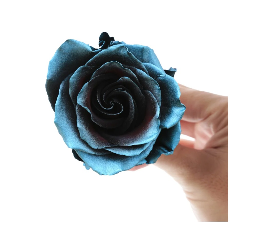 Ragnarok 10 stems(染色)