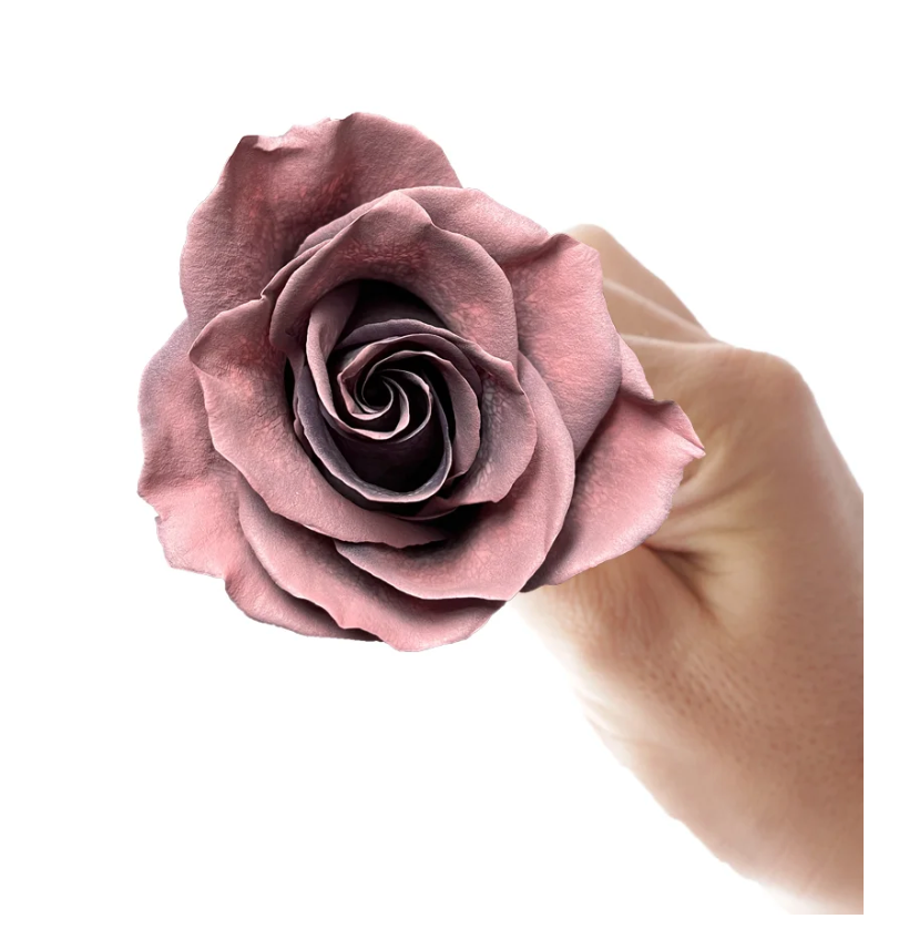 Cooke 10 stems(染色)