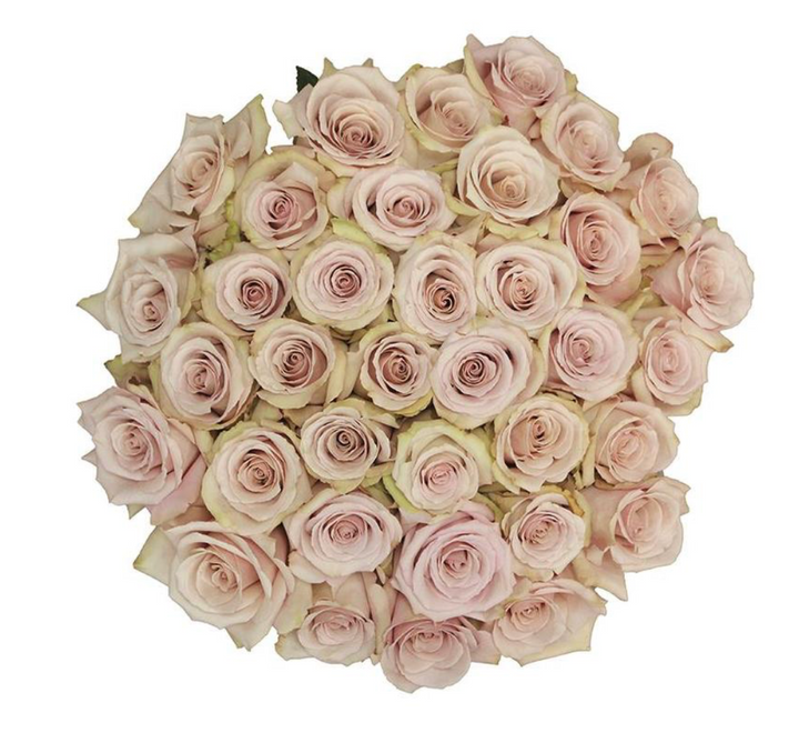 Quicksand 10 stems