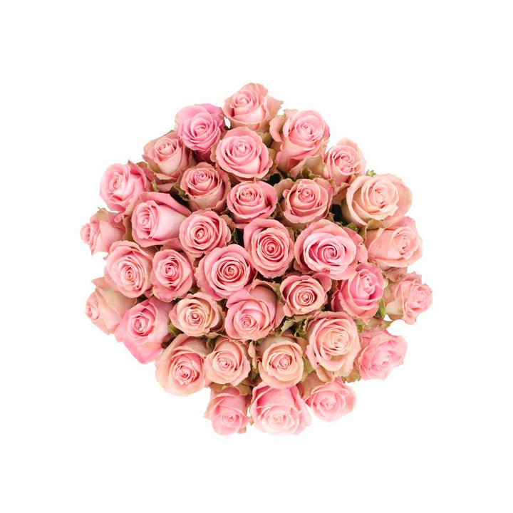 Hermosa  10 stems