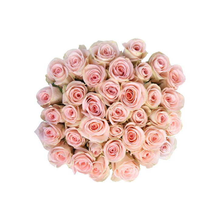Tiffany 10 stems