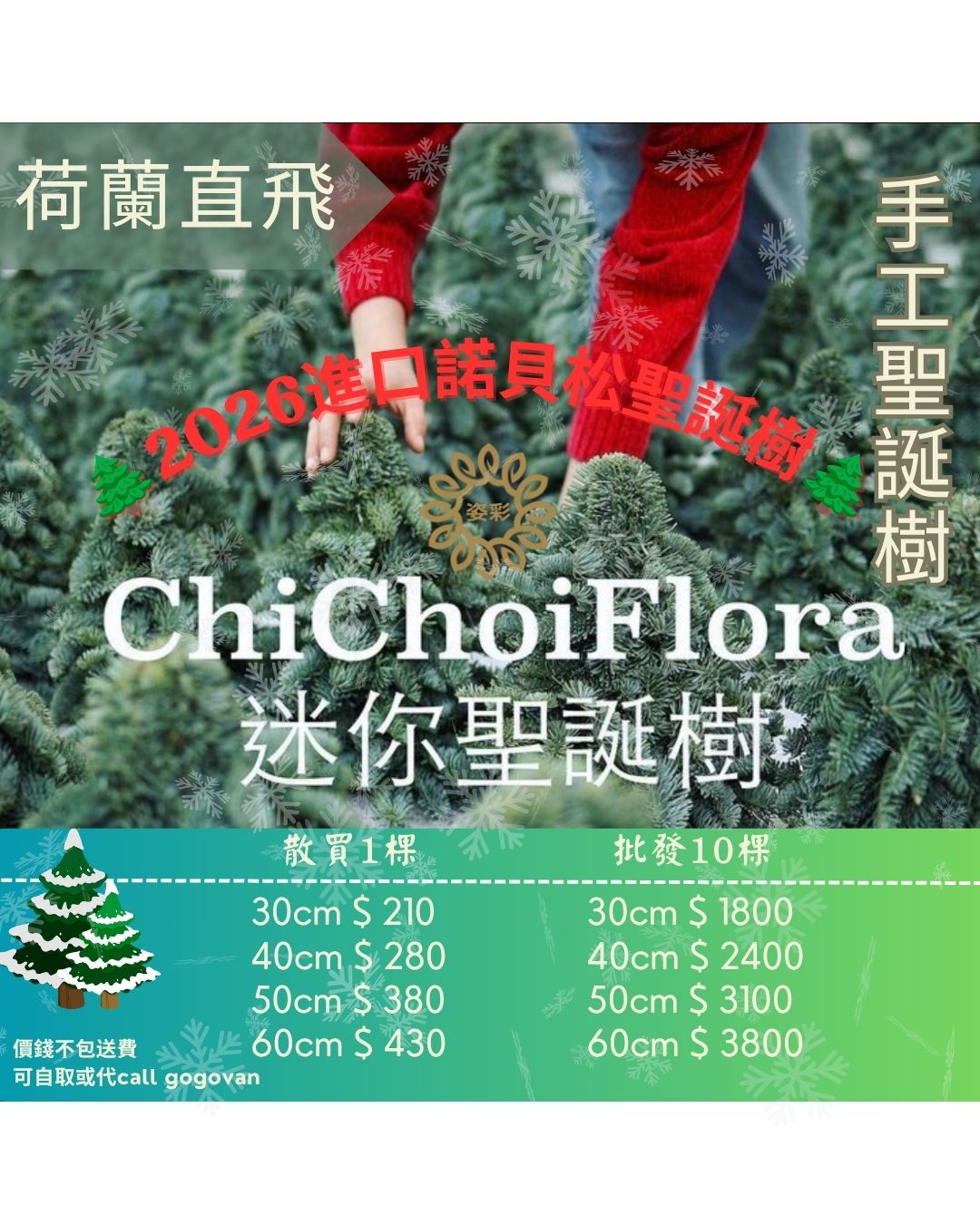 聖誕節系列 Xmas 2026
