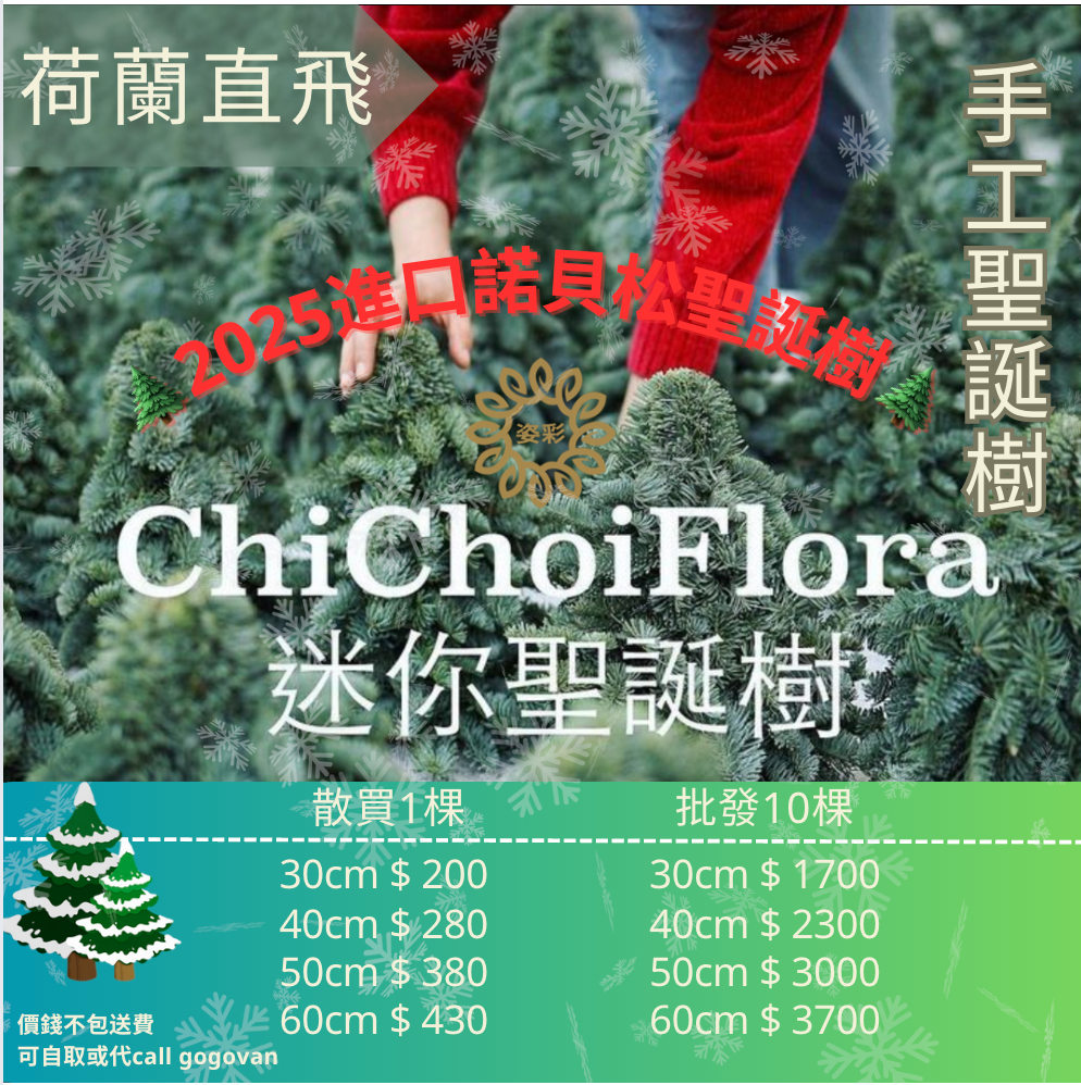 聖誕節系列 Xmas 2025