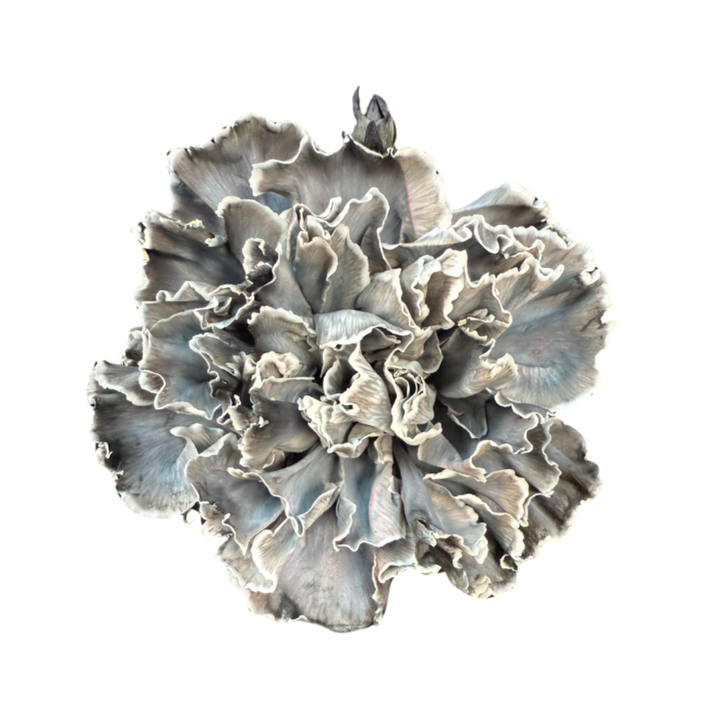 進口染色康乃馨Tinted Carnation