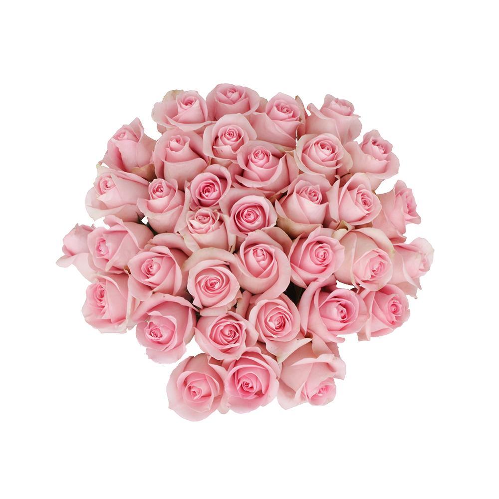 現貨Luciano 10 stems