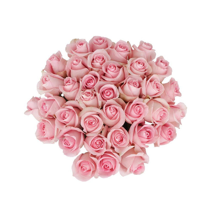 現貨Luciano 10 stems
